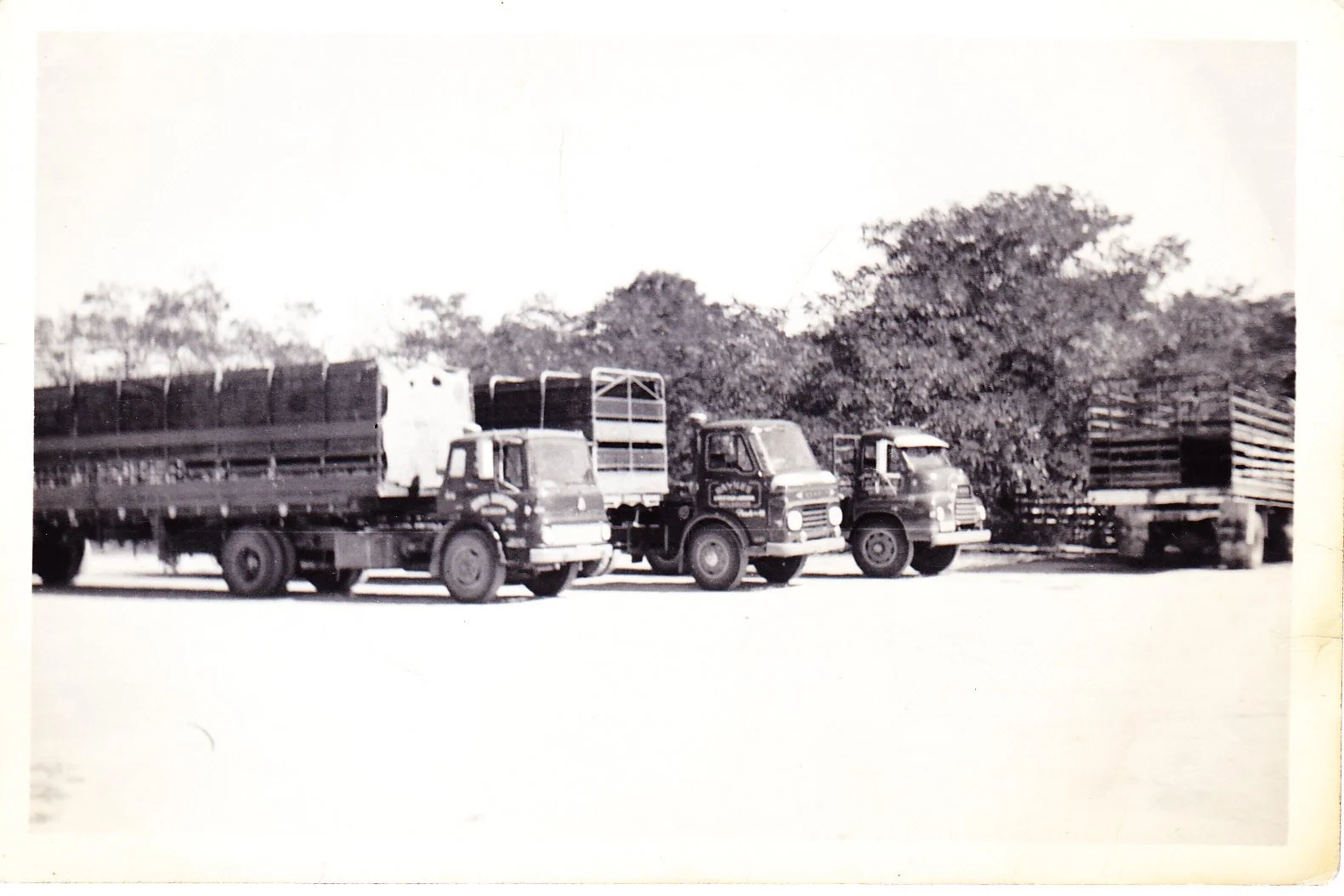 paul haynes The Haynes Transport Fleet.jpg