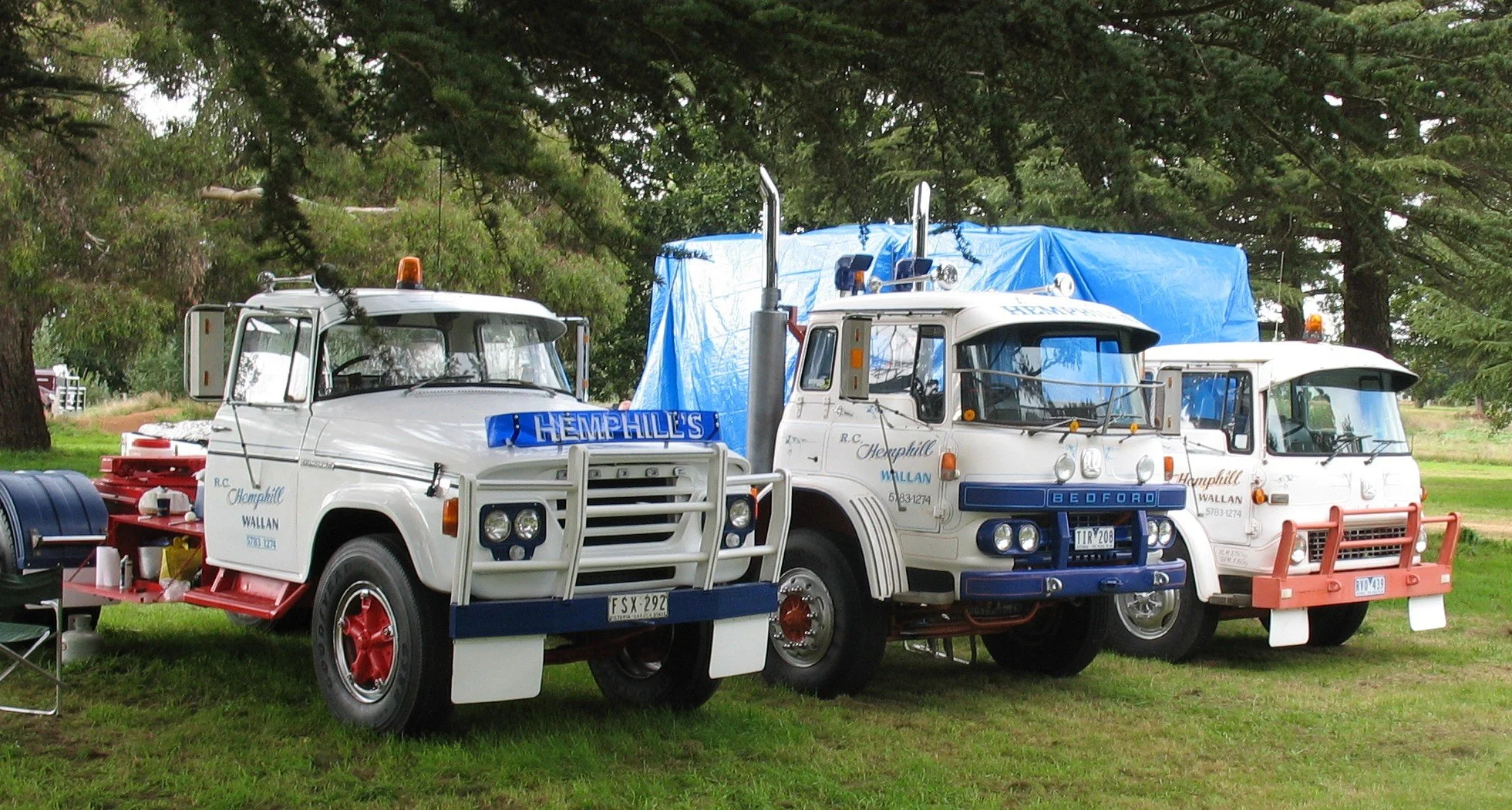 hemphill r 3.jpg
