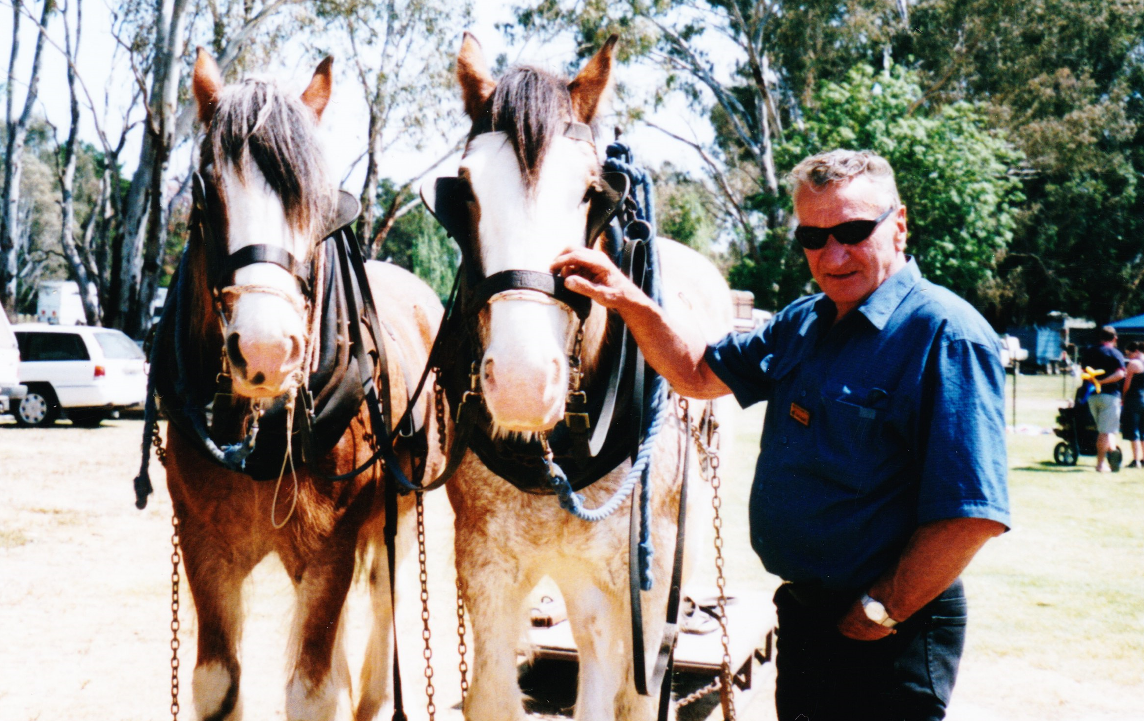 hemphill r Bob with horses.png