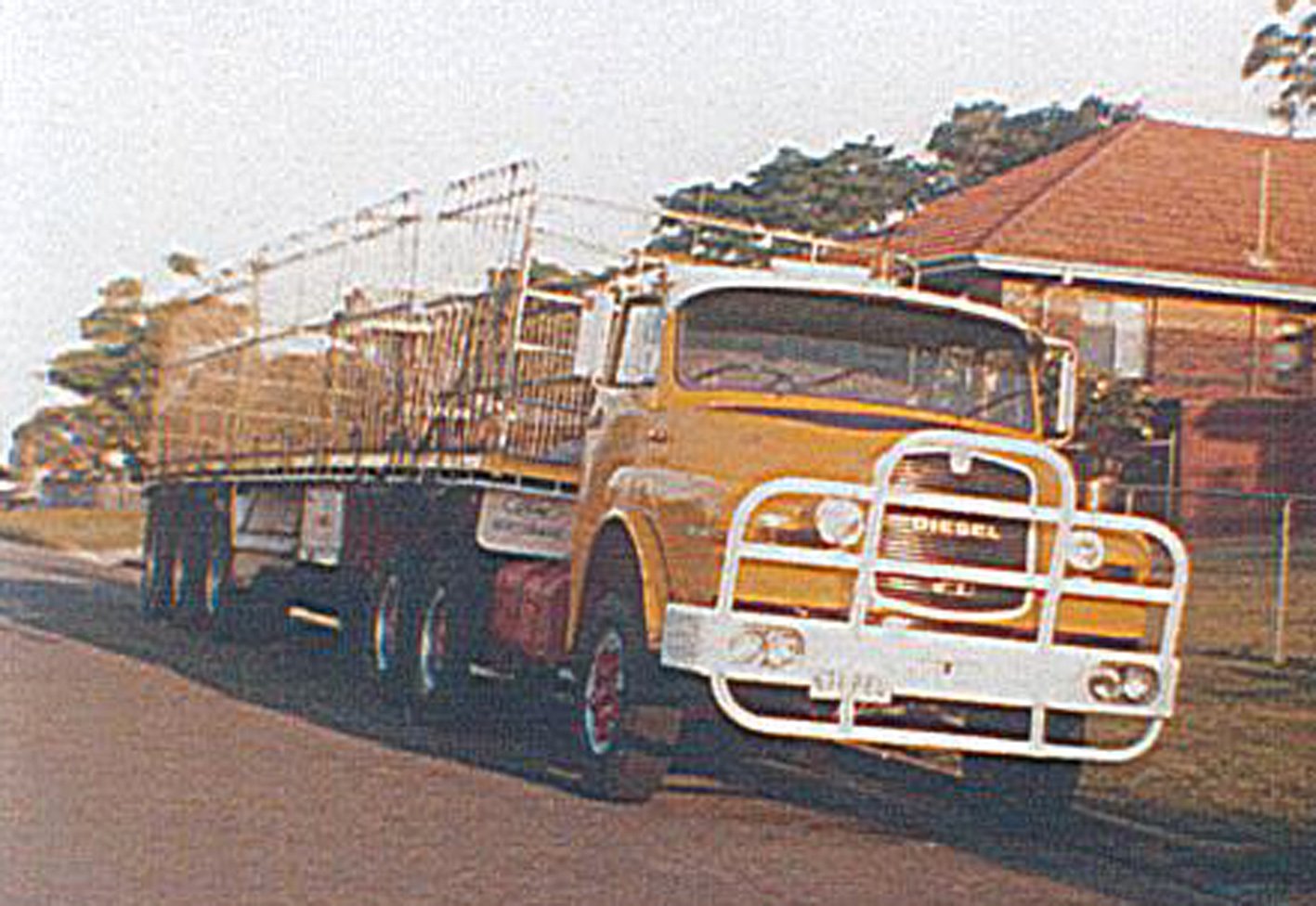 Angus Ray diesel.jpg