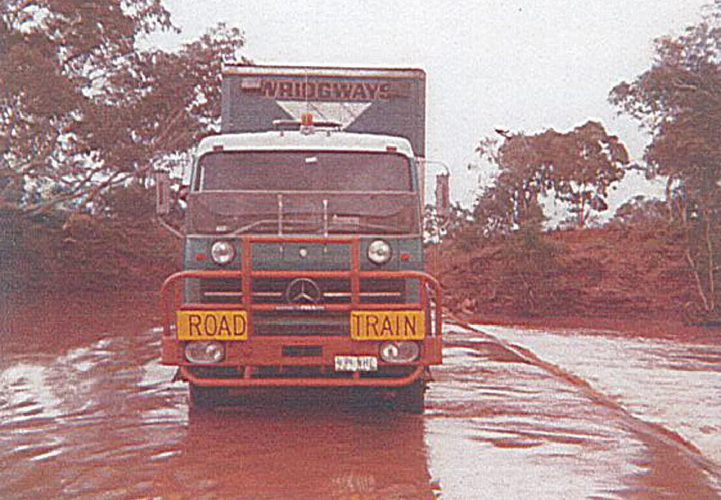 Angus Ray Merc 2.jpg