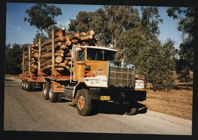 Alan log truck.jpg