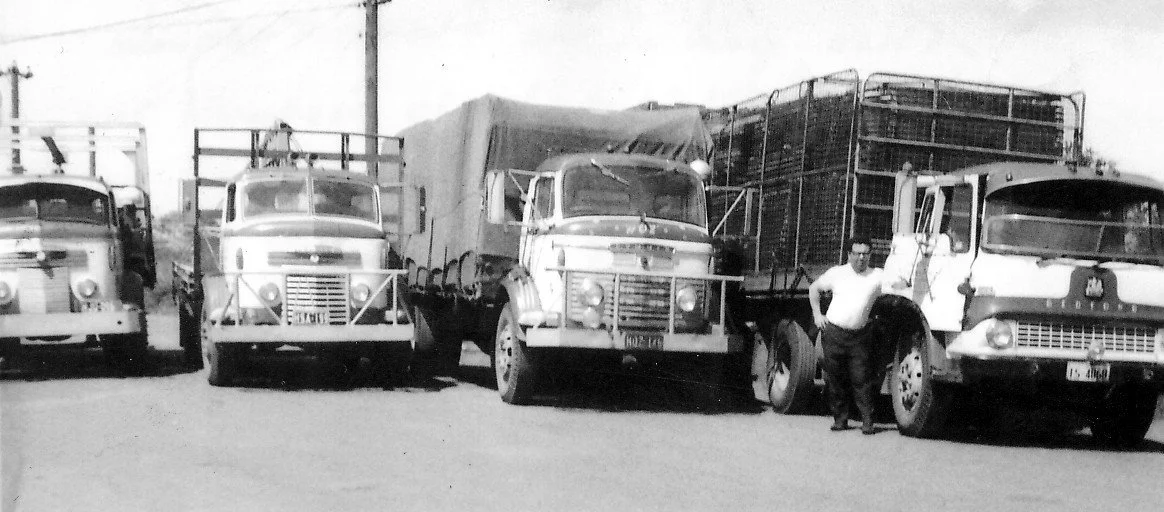 Amaroso-7a.jpg