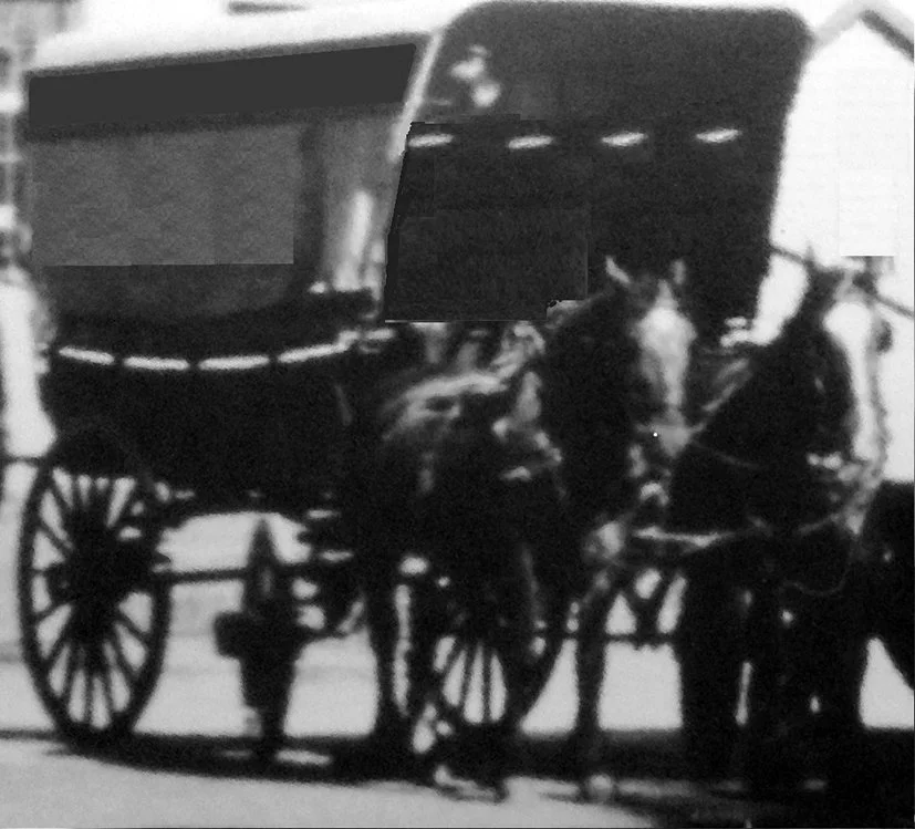 Horses and 4 wheel cart.JPG