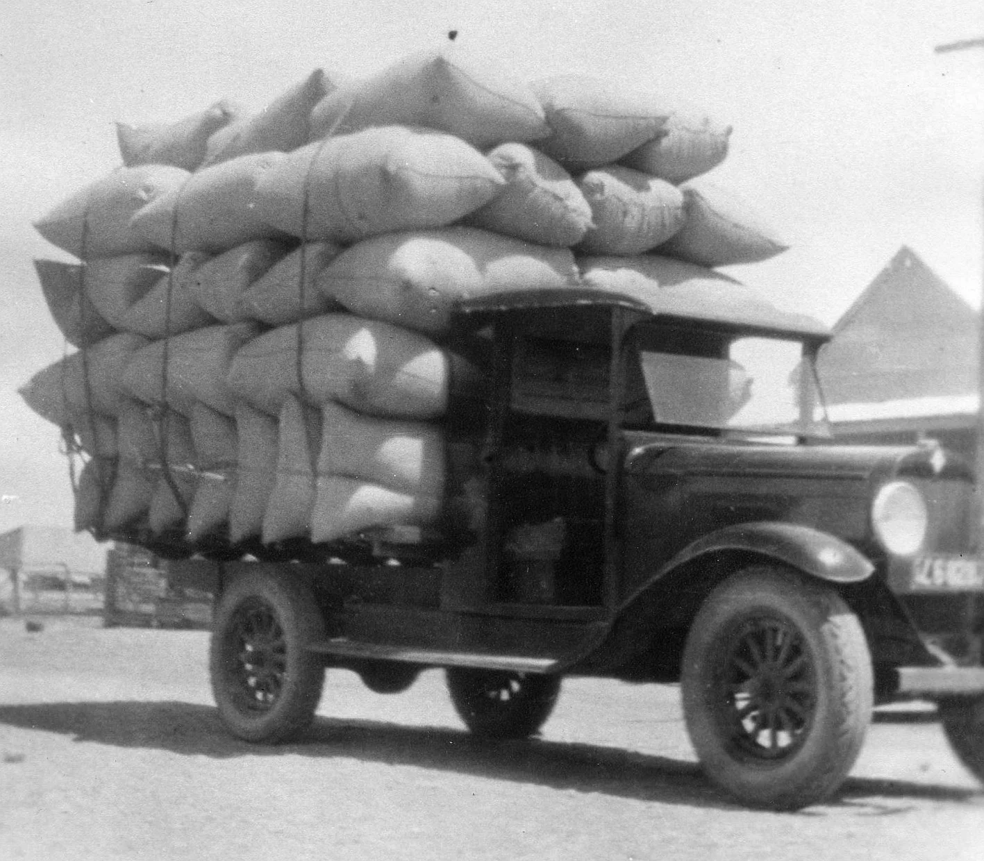 Sonny McKenzie's truck with wheat.jpg