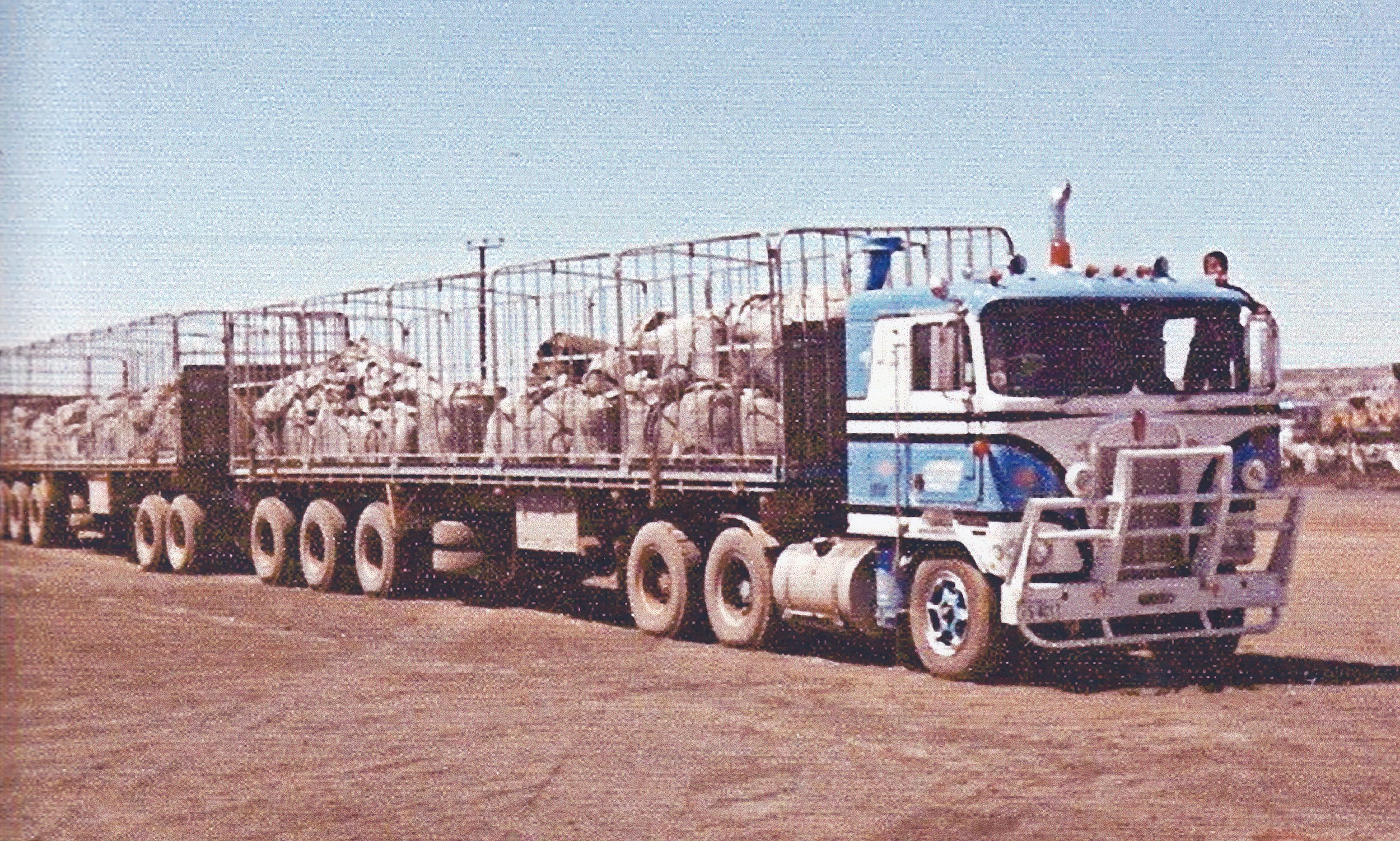 McNab, Angus- on side of old Kenworth 1200dpi.jpg