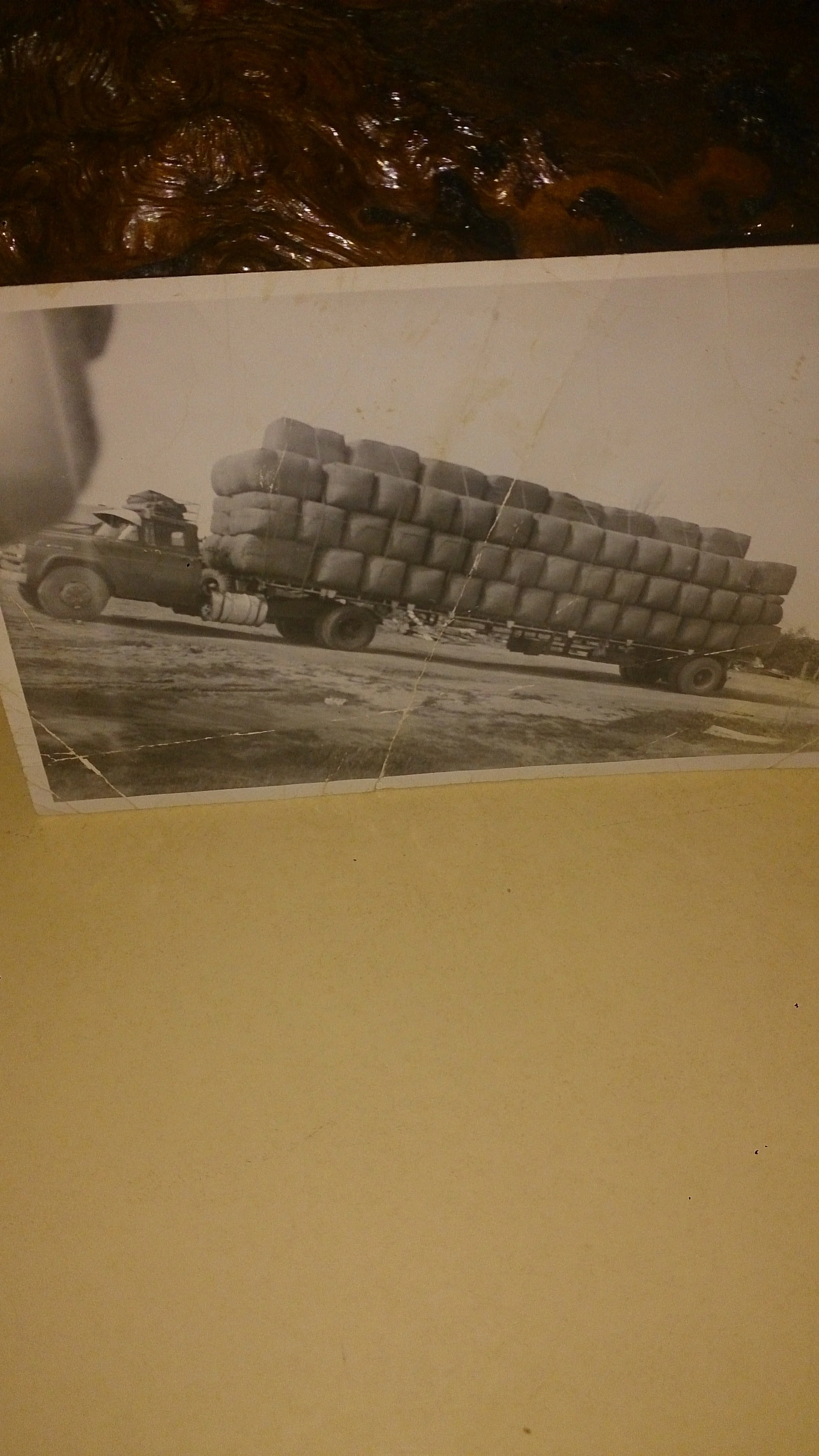 Harrisons Transport 1956 Ford Bill Drove.jpg