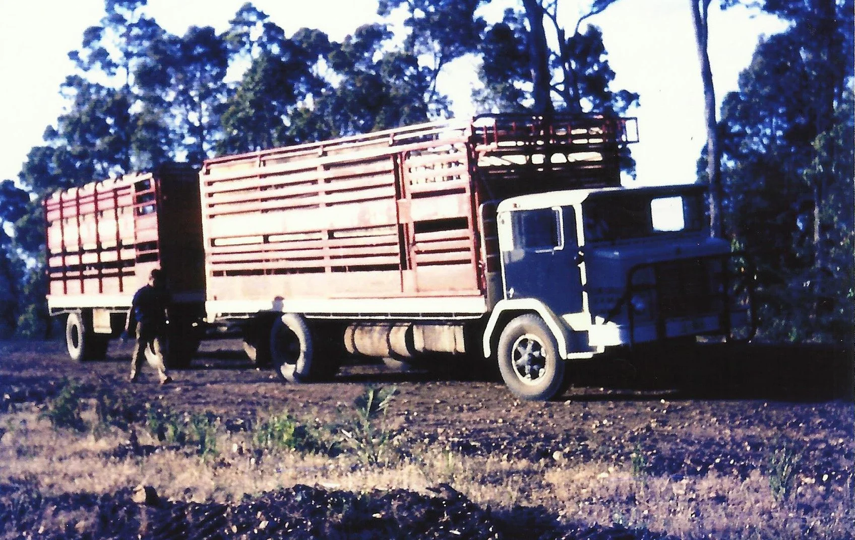 15METCALFsimonmalletowntransport1967_68.jpg