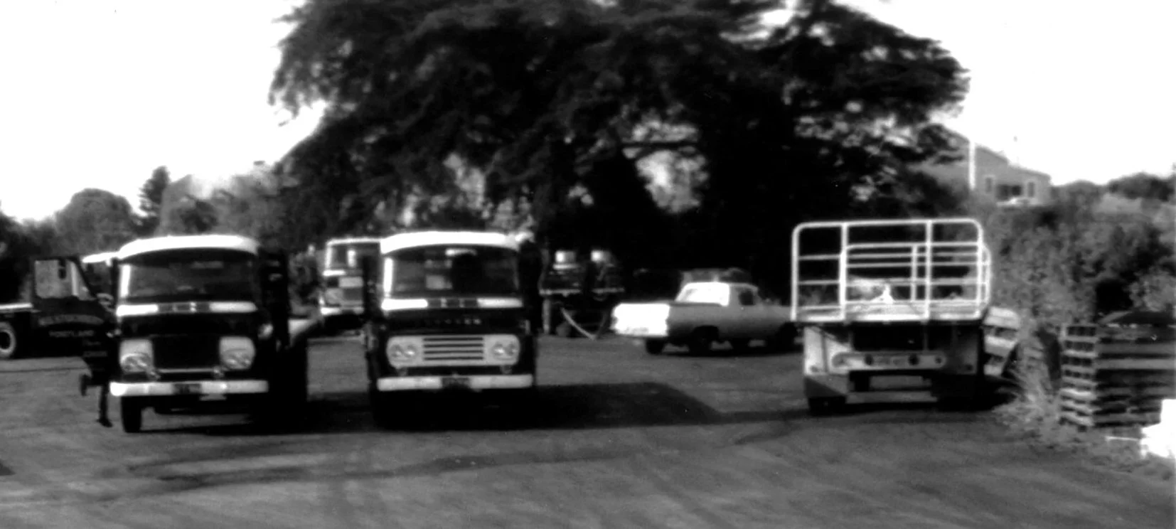 TPluckhahn01-Stuchberrys Yard-Portland Vic-1969.jpeg