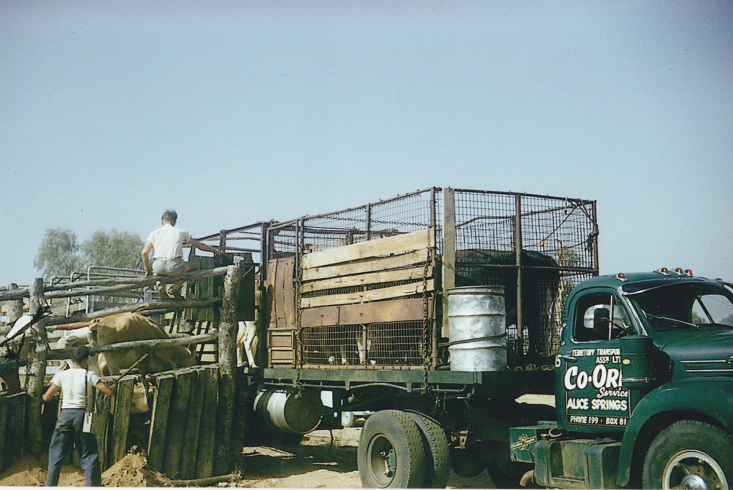 Ryan, John - loading livestock 1200dpi.jpg