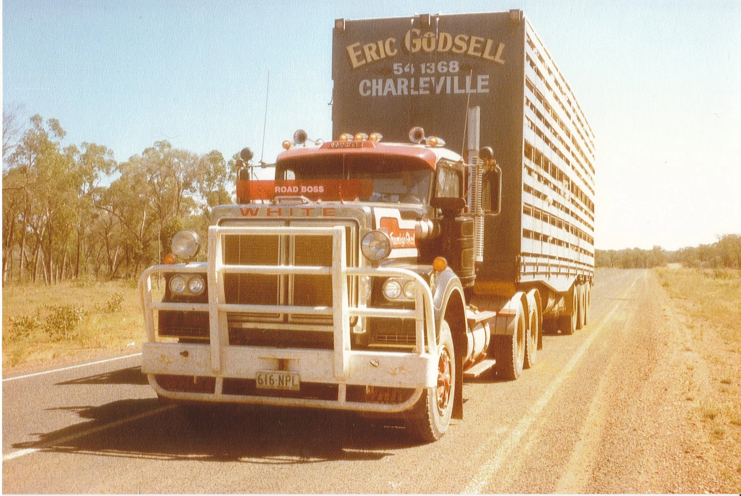 Saffy, Les - White truck livestock 1200dpi.jpg