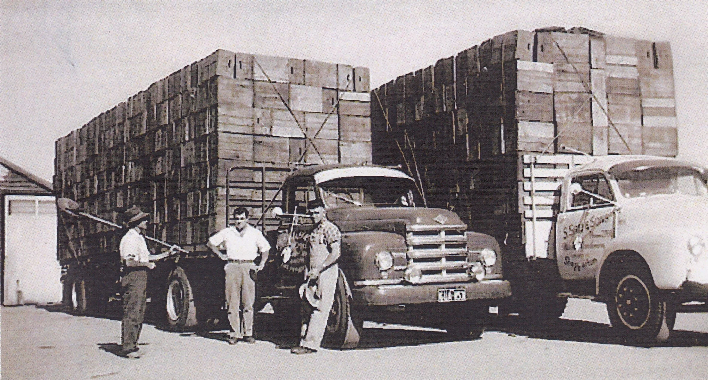 Sali, two Old Trucks A.jpeg