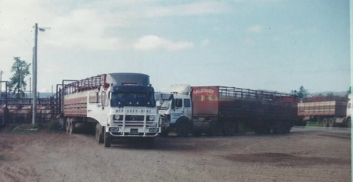jim salisbury Loading cattle at Beaudesert Trucking yards 1992.jpg