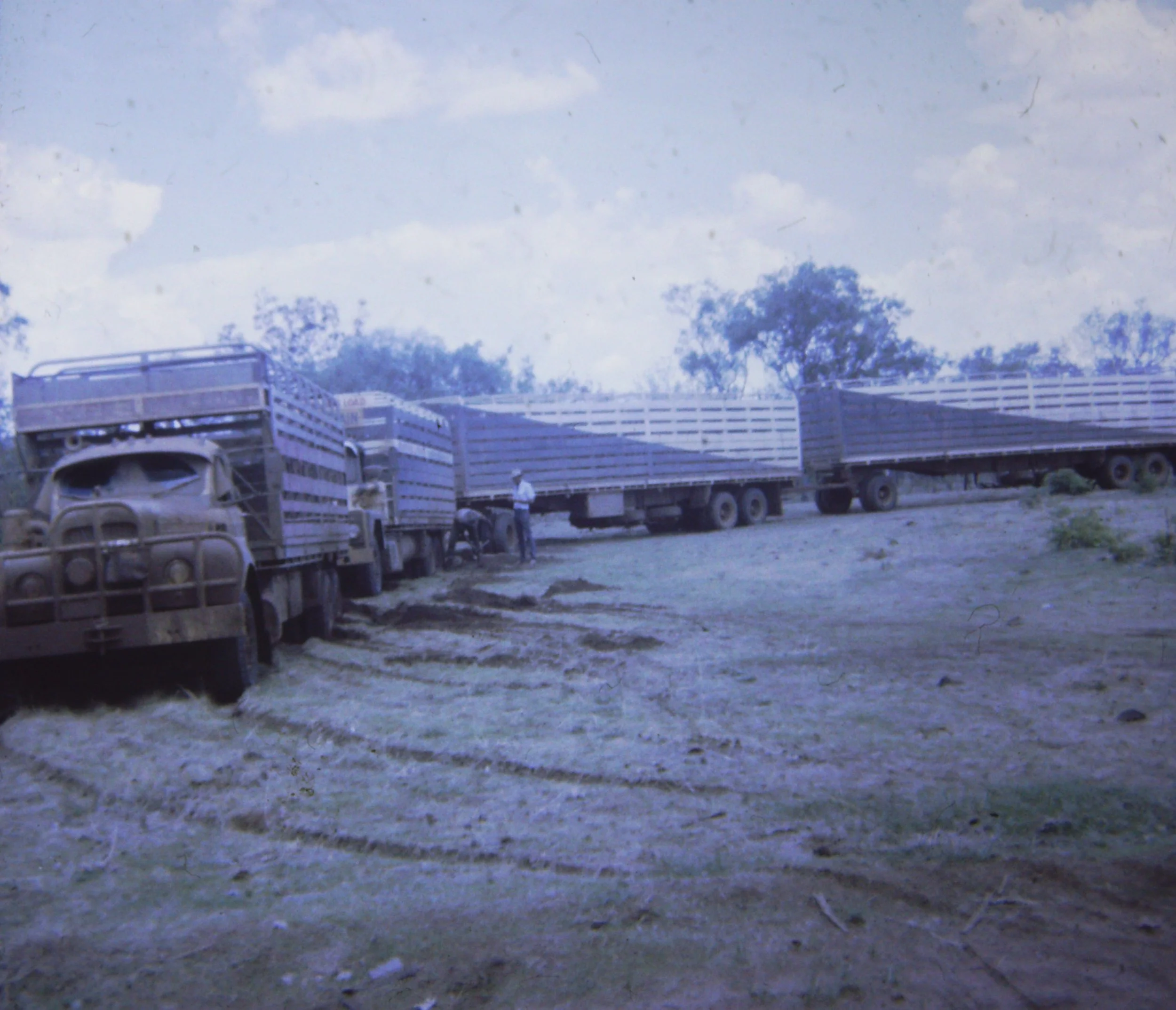 sampson 5. 1969 Twiggy & Pissy Pebrill bogged at Roper Valley.JPG