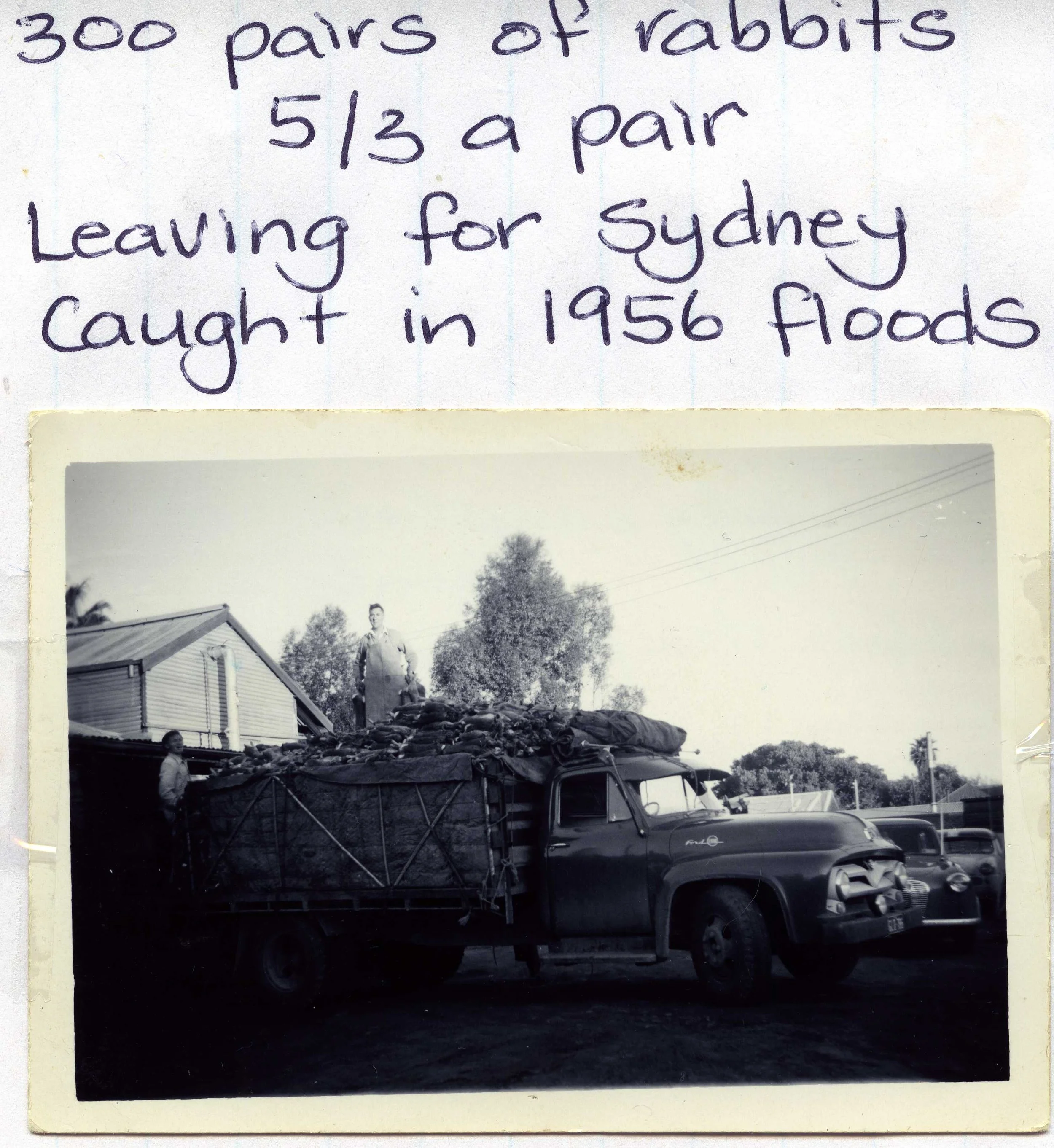 fitzmaurie011.jpg