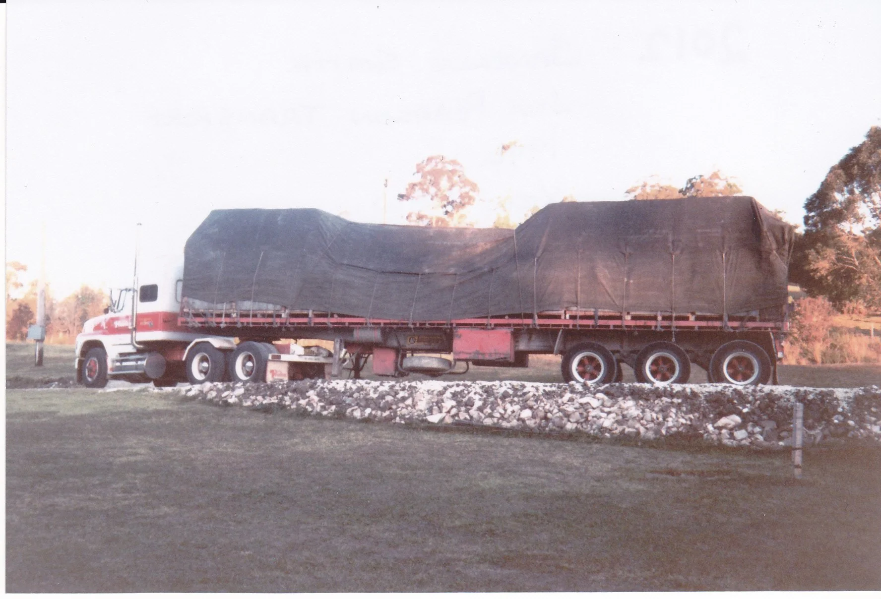 SMITHjanelle1994JimPearson.jpg