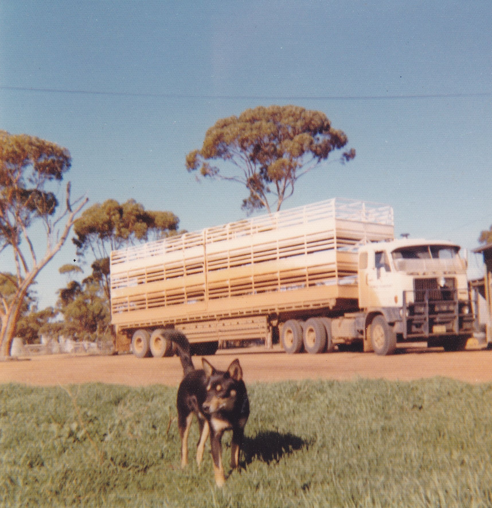 12WRIGHTterryTruck3.jpg