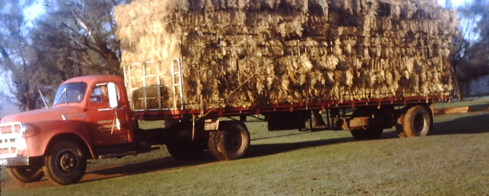 14FARMERSian (2).jpg