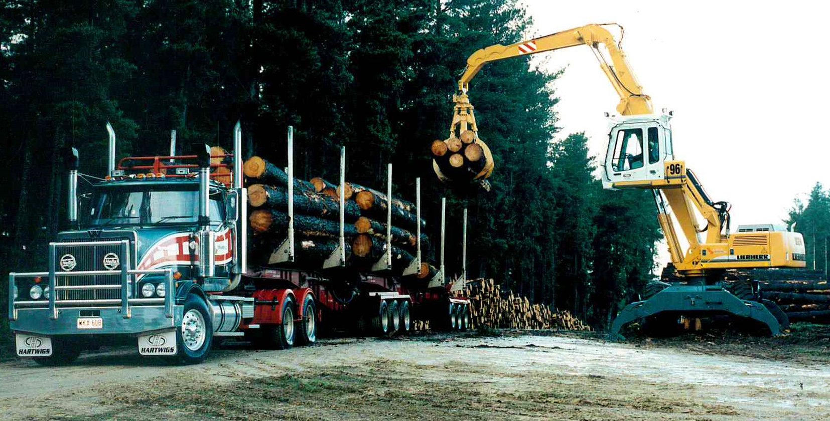 15FENNELLgrahamwesternstar.jpg