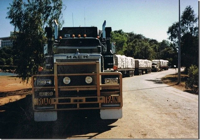 The Ernest Giles unloading cattle pellets on Darwin Wharf 1998.jpg