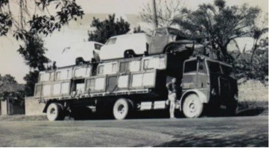 jackel 6.jpg