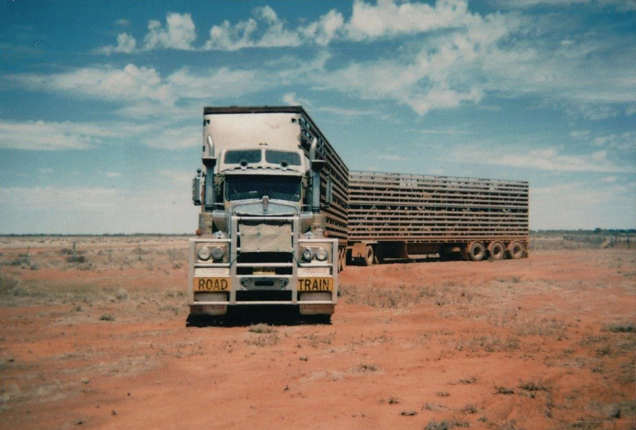17 JAMES P s - Photo 2 - 'Golden Nugget'.jpg
