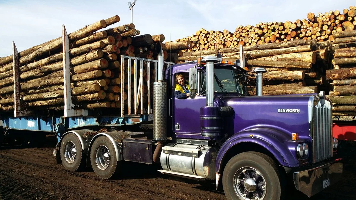 DANN Helen Kenworth logs.jpg