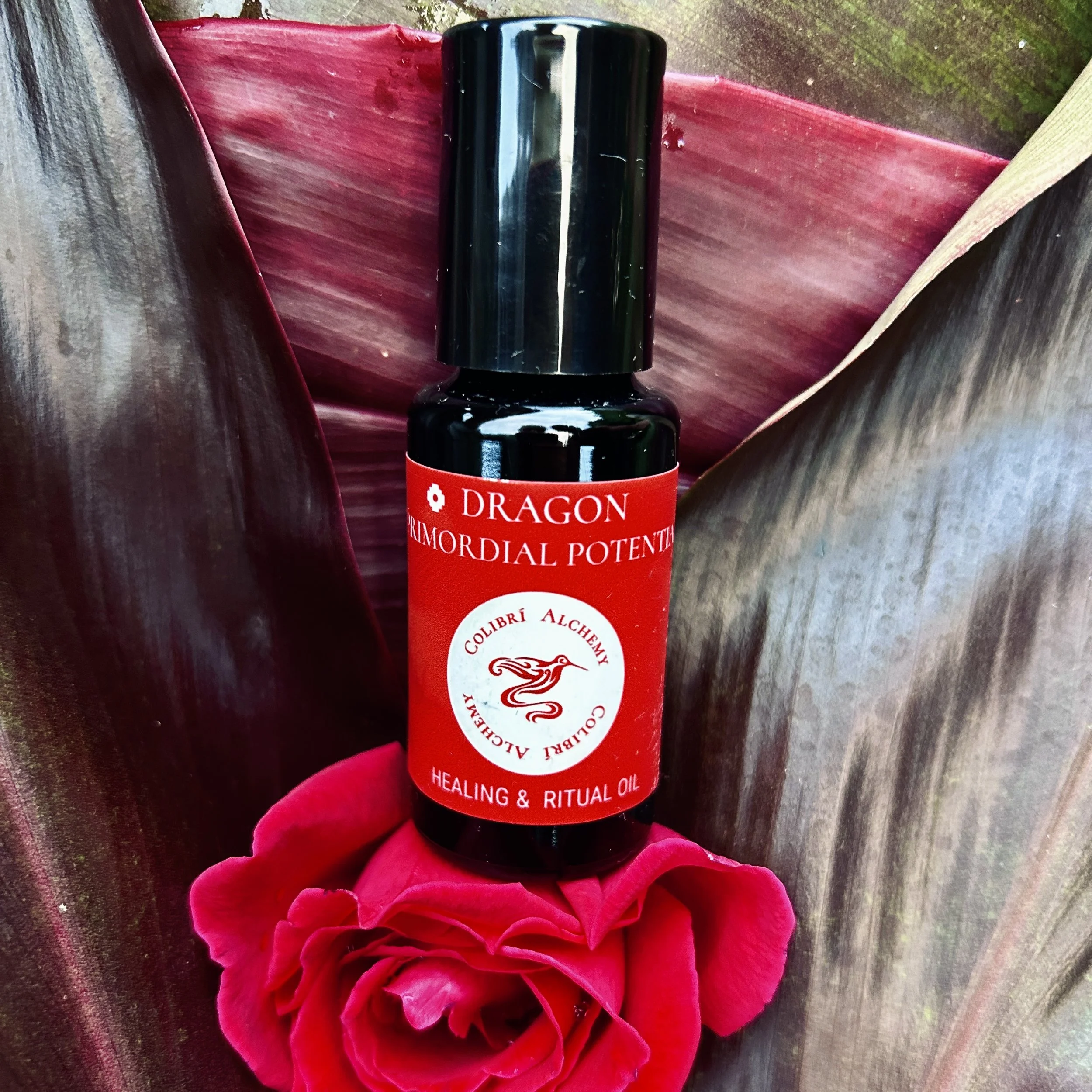 Dragon — Primordial Potential, Healing & Ritual Oil 15ml