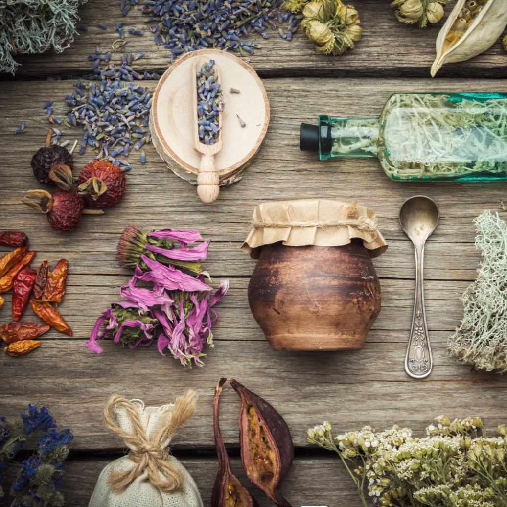 Plant Connection Workshop — Agua Florida 11/9 9:30am HST