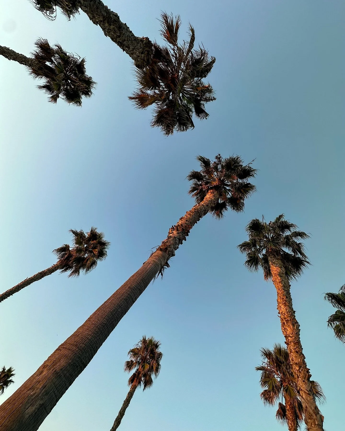 space for whatever experience you need to have today 🌴🪐