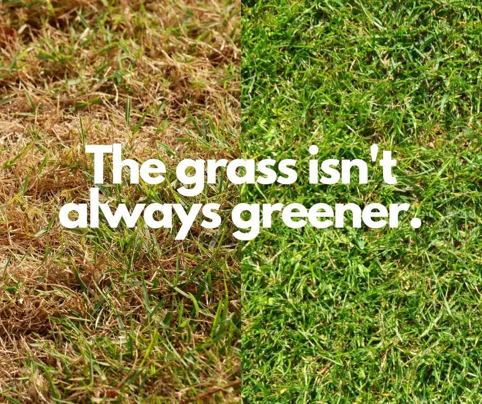 The Grass Isn't Always Greener: Why Loyalty Can Be a Valuable Asset in Today's Job Market