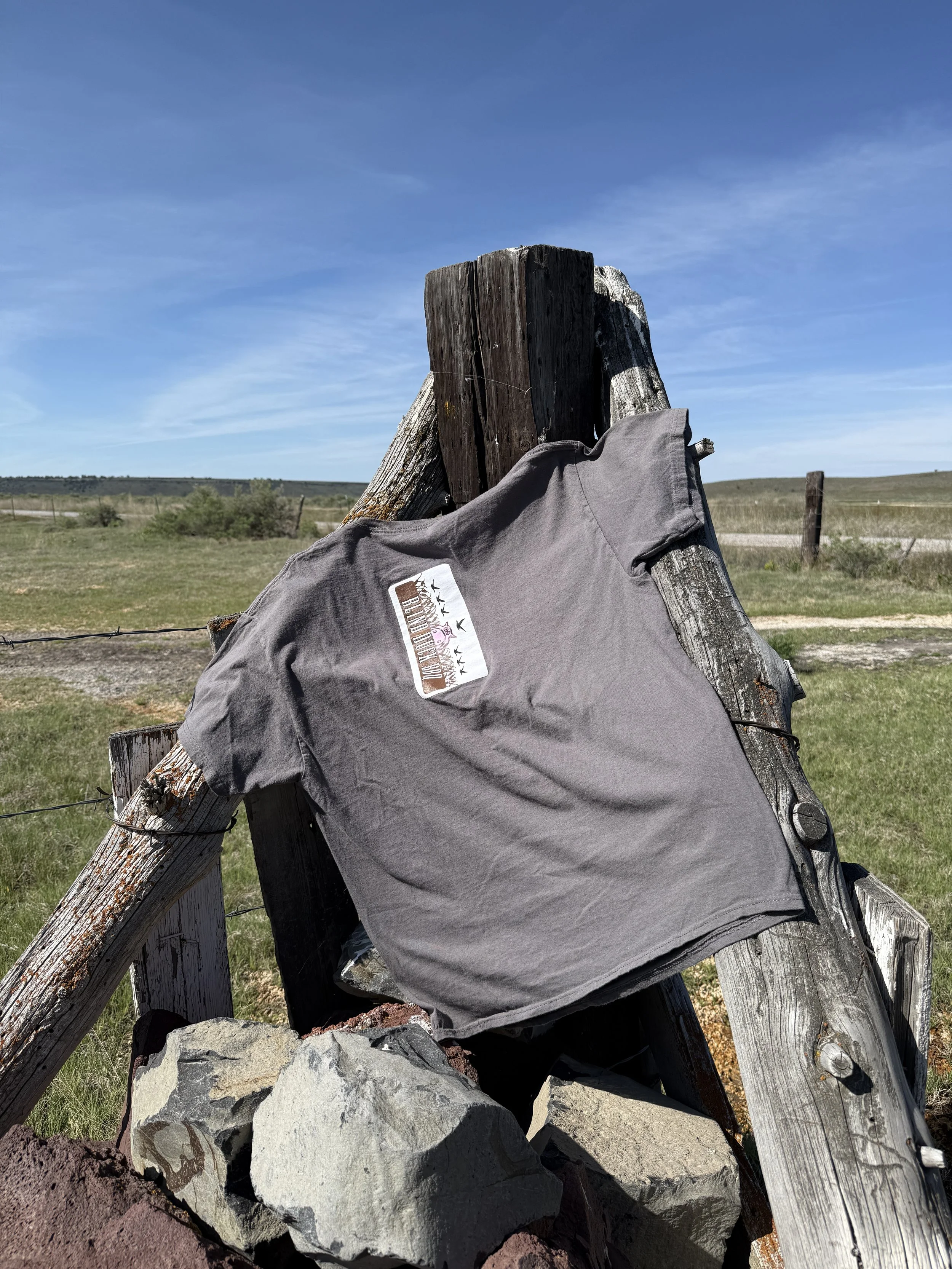 Old gray back.JPG
