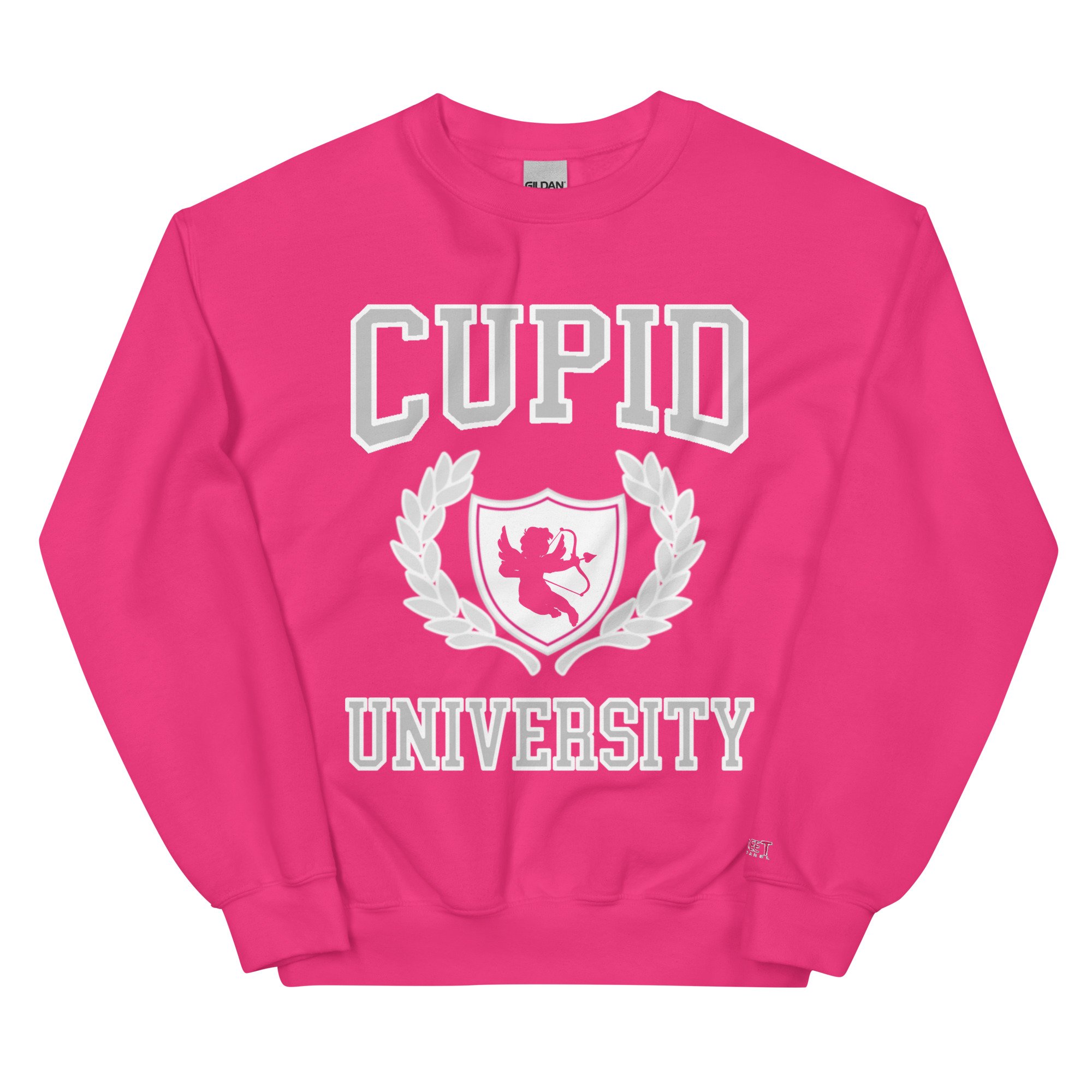 unisex-crew-neck-sweatshirt-heliconia-front-679347d68cbe5.jpg