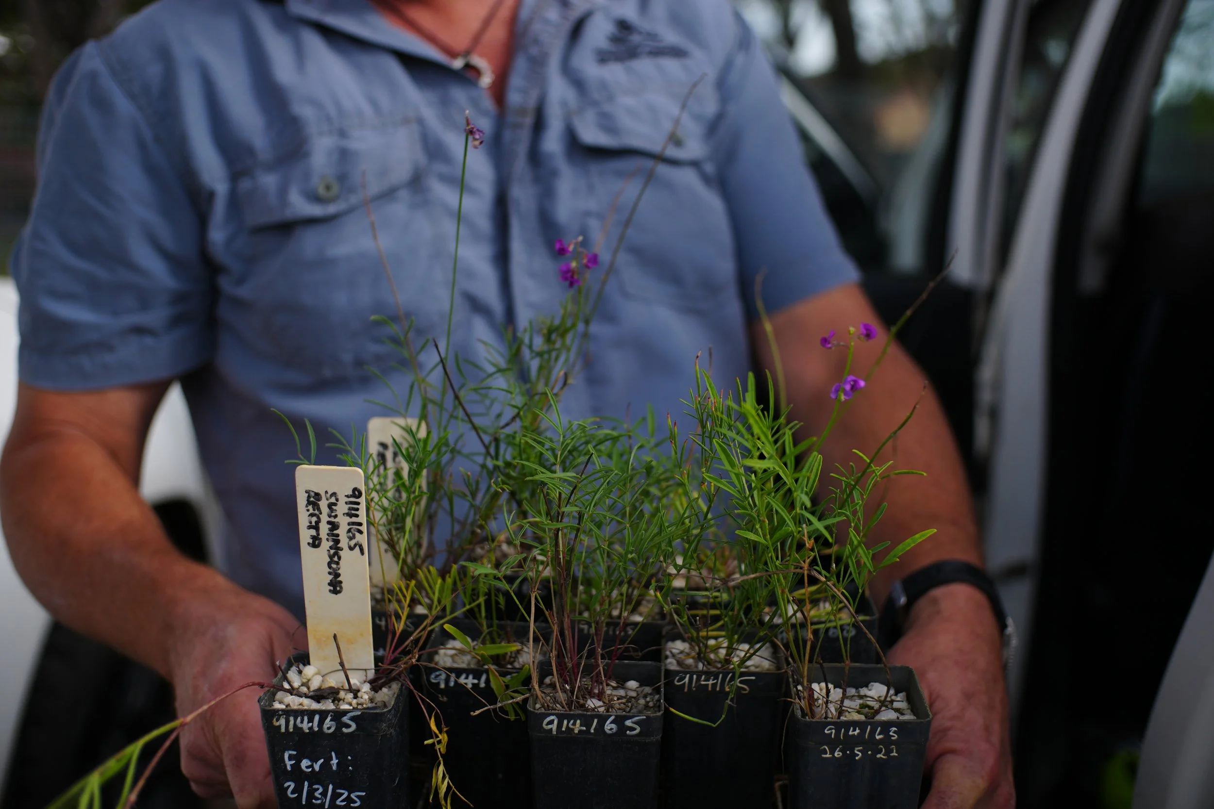 Scaling Threatened Species Translocations: Lessons from Assisted Migration