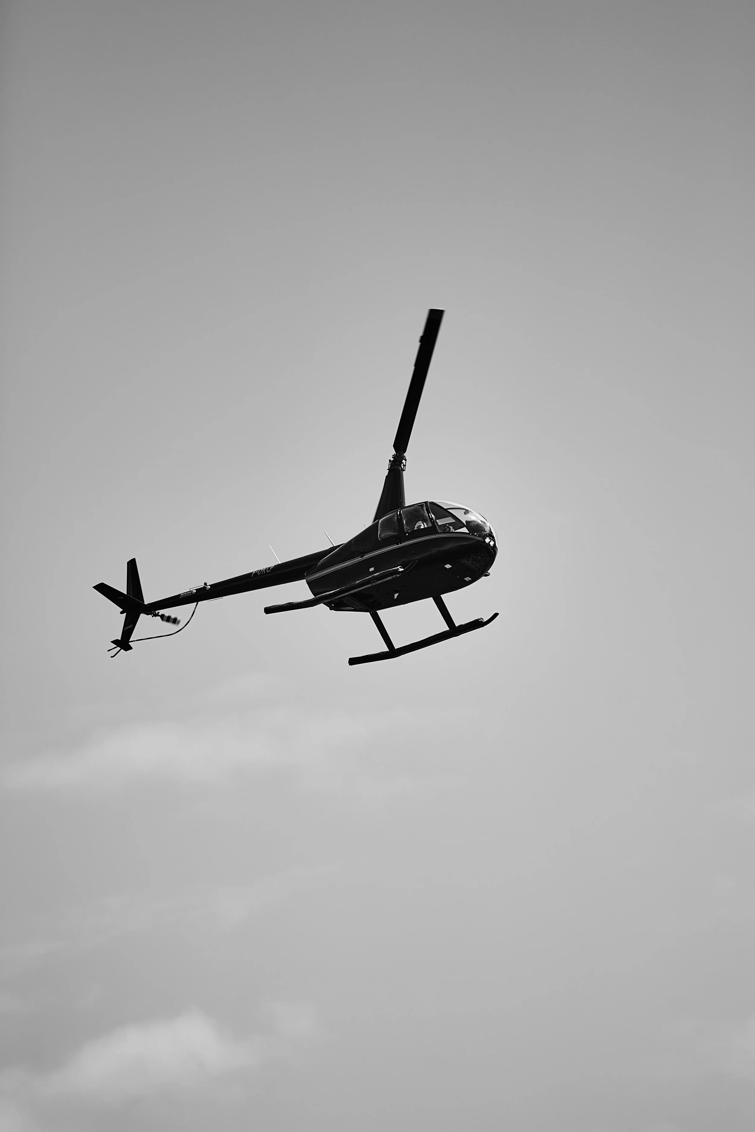 GRAM0082mars 17 2017_gramm.jpg