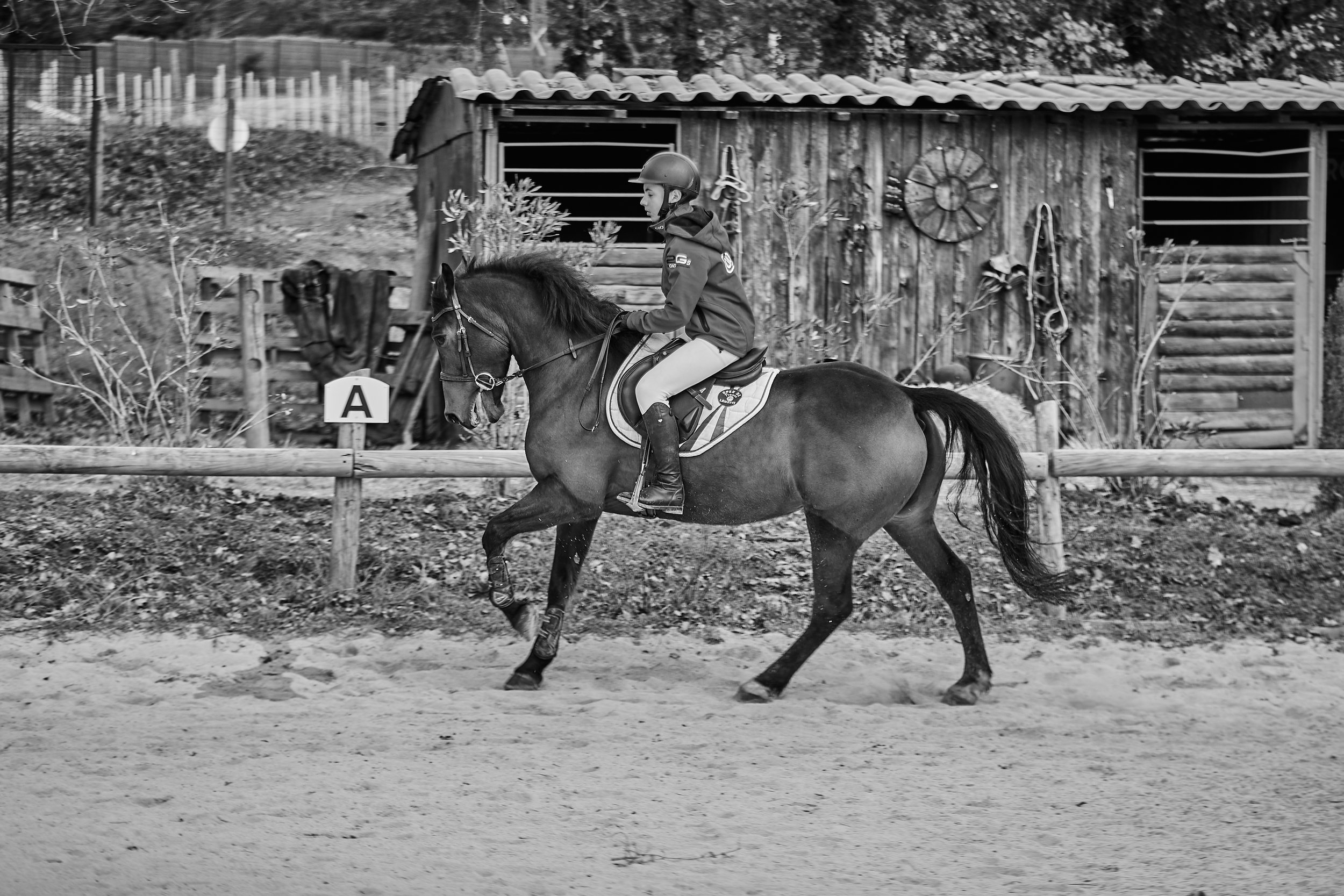 MICA0159-févr. 23 2023.jpg