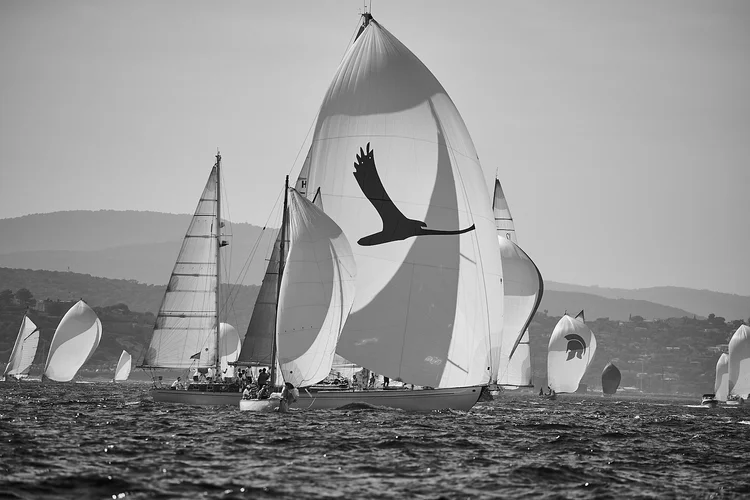 Les Voiles de Saint-Tropez 2023 Photography — photograph 116 — © Michaël Gramm