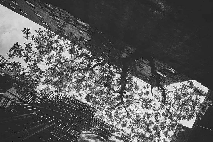 New York & Washington Photography — photograph 58 — © Michaël Gramm