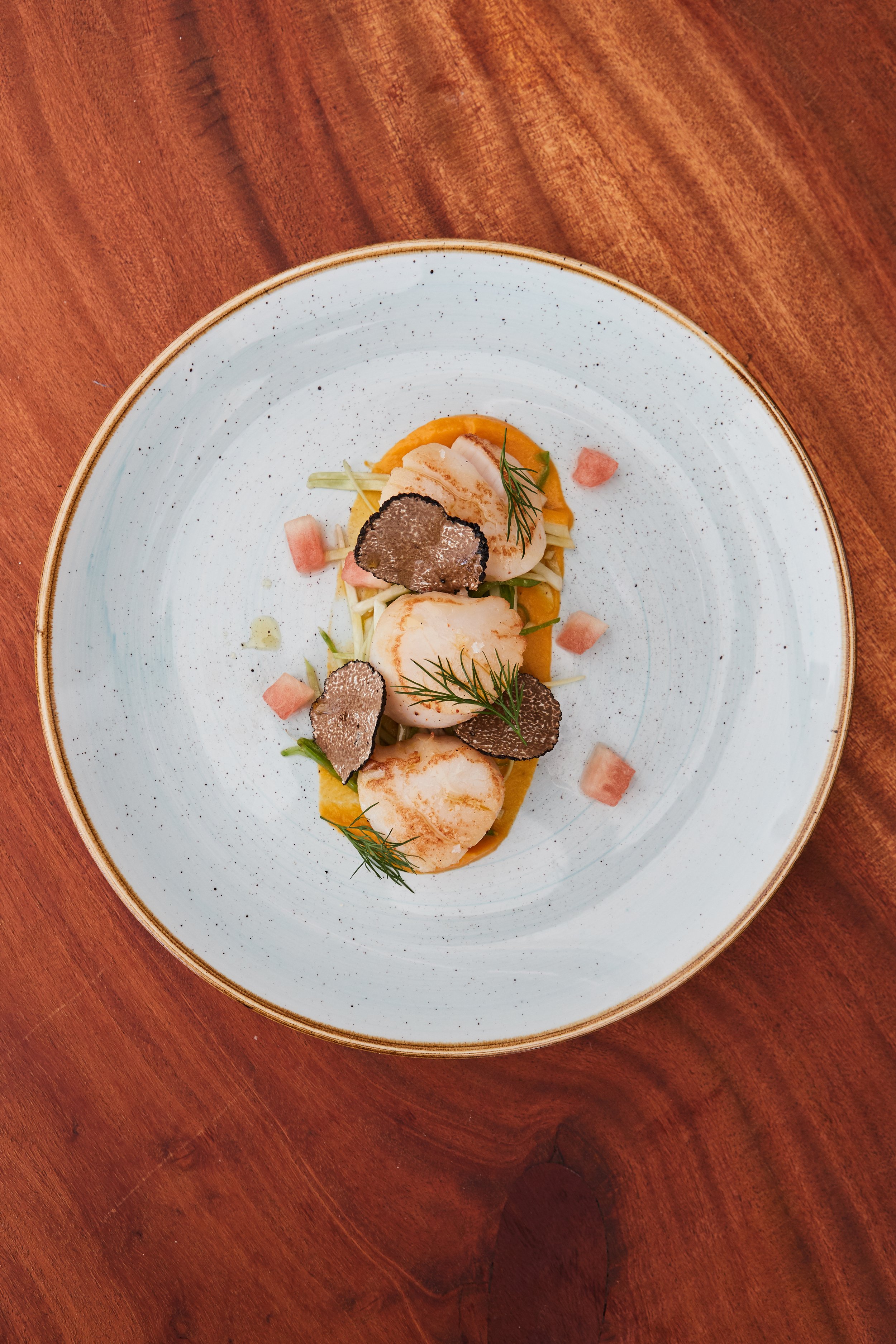 Appetizer with seared scallops, black truffle slices, dill, and small pink garnishes on a white plate.