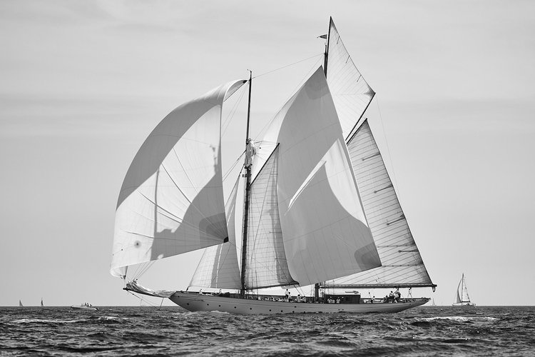 Les Voiles de Saint-Tropez 2023 Photography — photograph 191 — © Michaël Gramm