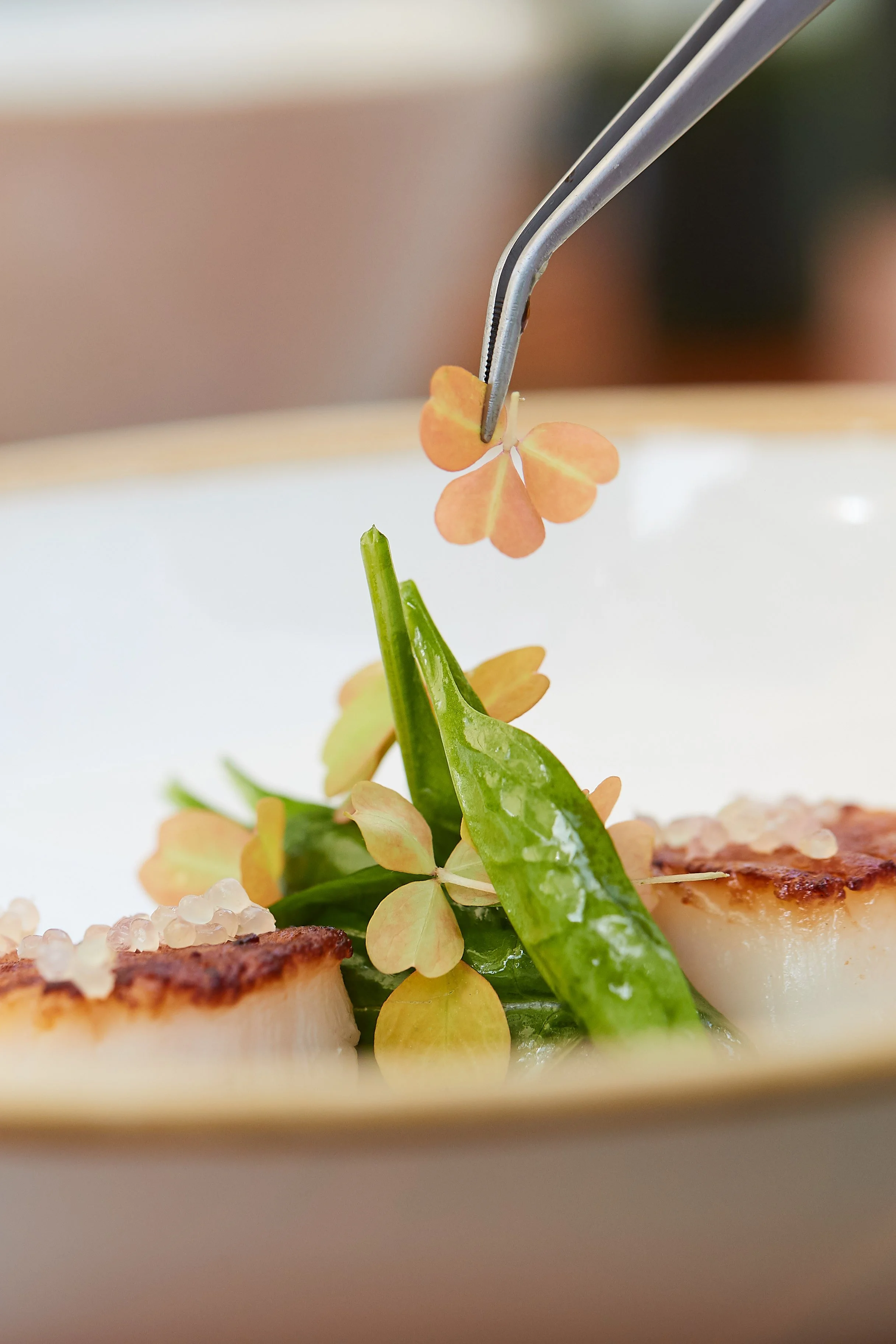 Close-up of a plated dish with seared scallops, green vegetables, and delicate edible flowers, with a fork about to pick a flower.