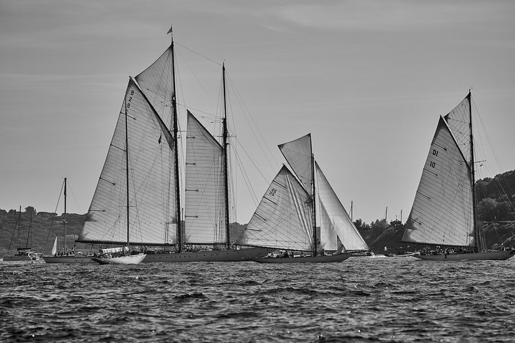Les Voiles de Saint-Tropez 2023 Photography — photograph 35 — © Michaël Gramm