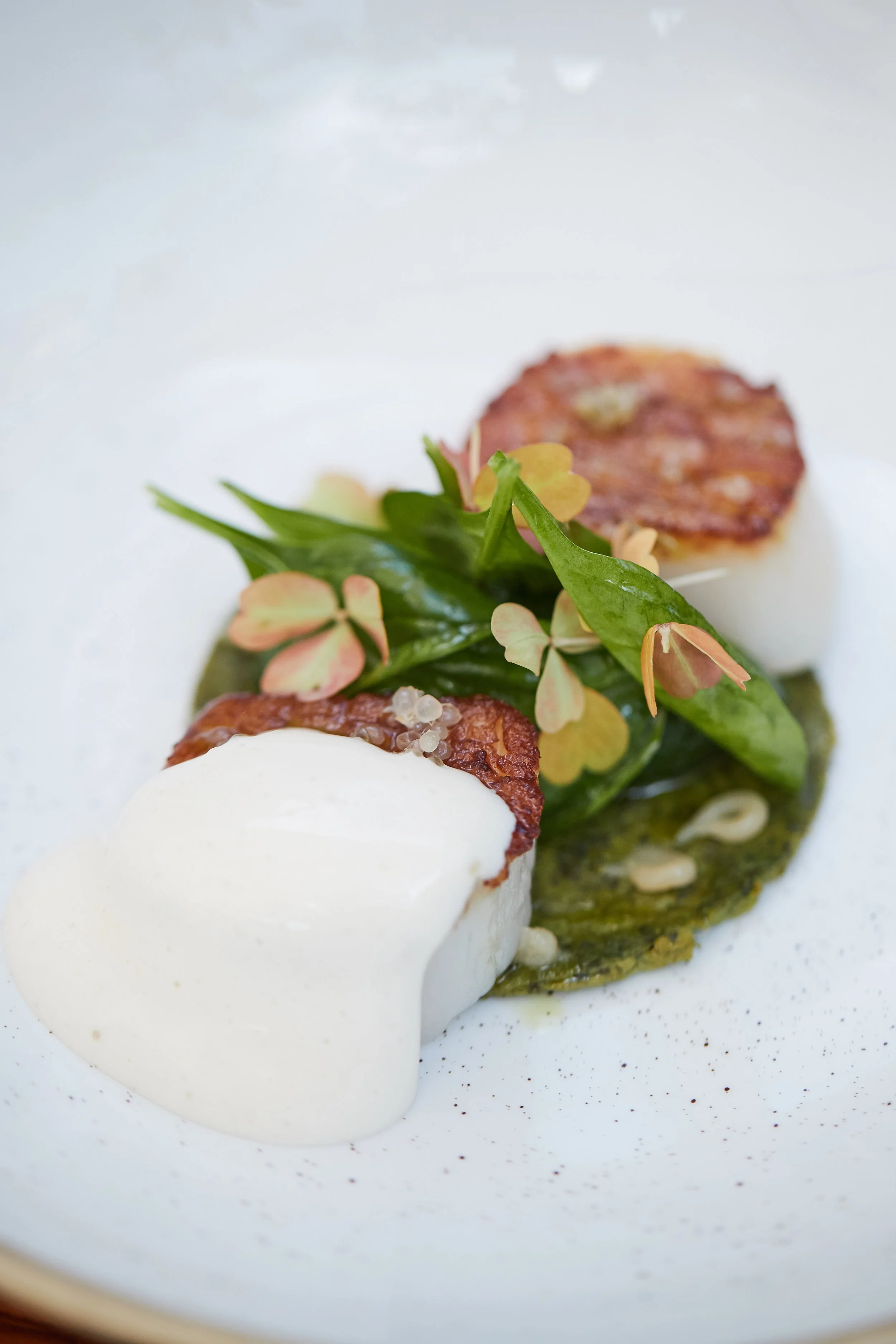Close-up of gourmet dish with two poached eggs, grilled protein, leafy greens, edible flowers, and sauce on a white plate.