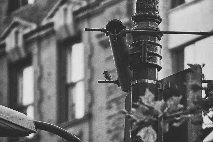 New York & Washington Photography — photograph 45 — © Michaël Gramm
