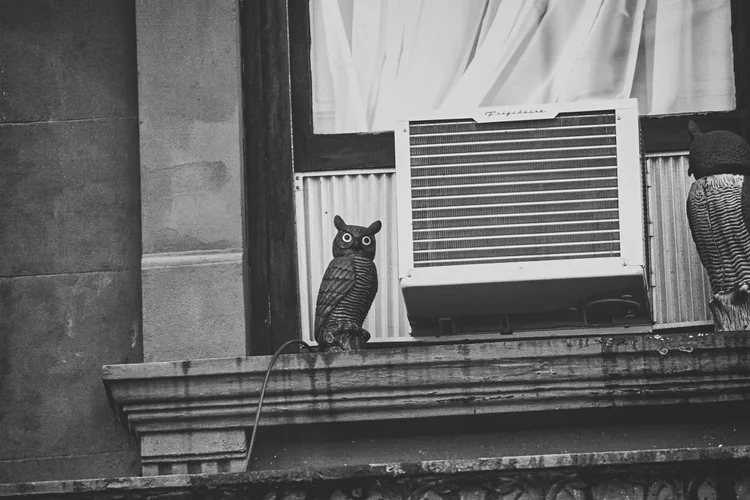 New York & Washington Photography — photograph 29 — © Michaël Gramm