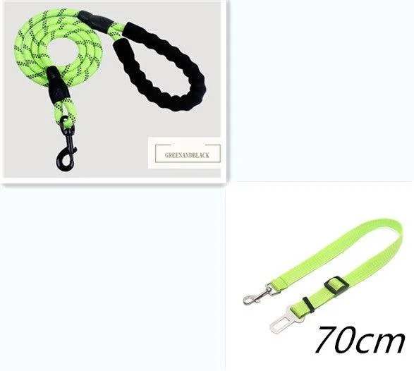 leash set 2.jpg