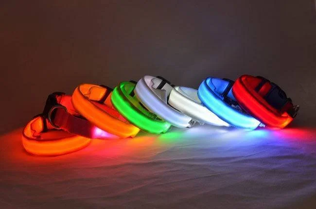 Luminous Glow Dog Collar