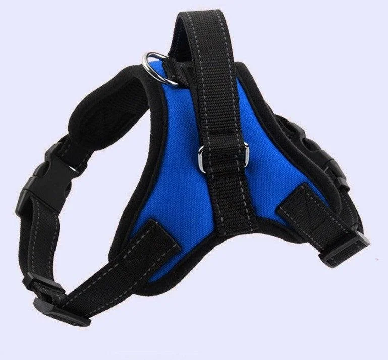 dog harness blue.jpg