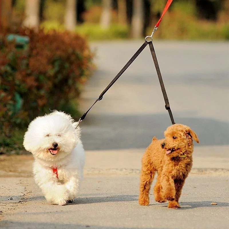 Double Trouble Dog Leash Coupler