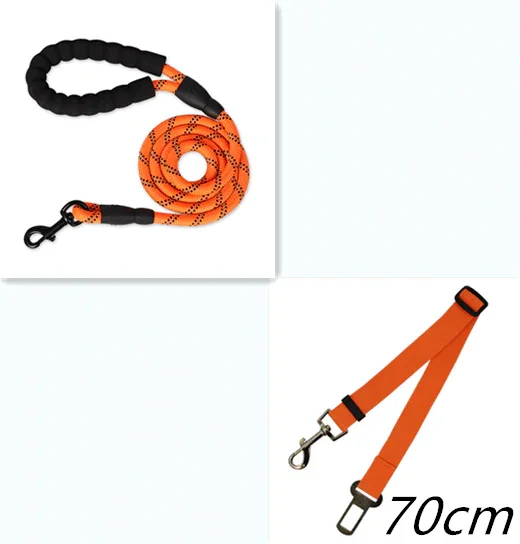 leash set 3.webp